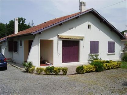 Photos